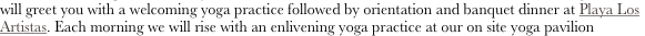 shapeimage_3_link_1